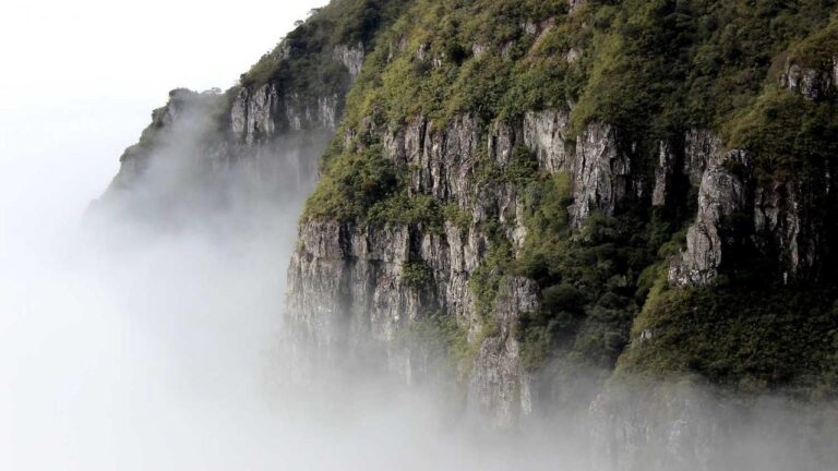 How Do Admins Access 11Xplay Admin Login Portal?